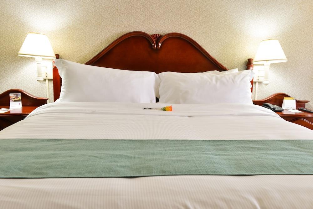 Hotel Plaza Del Libertador Tegucigalpa Eksteriør billede